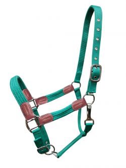 Showman Nylon halter with leather accents #4